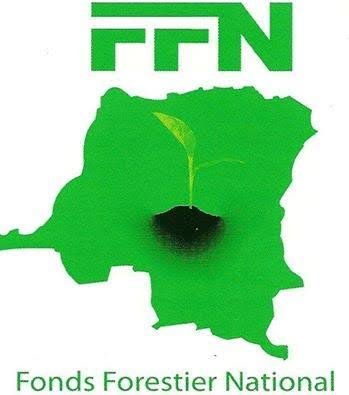 FFN
