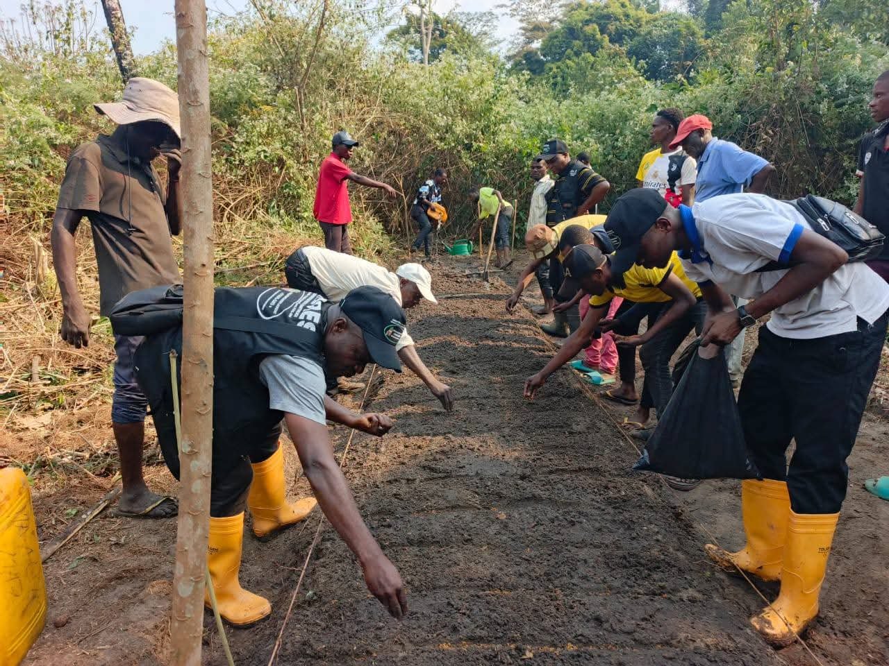 Projet PIFORES À Mweka: Les peuples autochtones des villages Batua Yentshi et Batua Muanabende valorisés par FOKAL-ONG