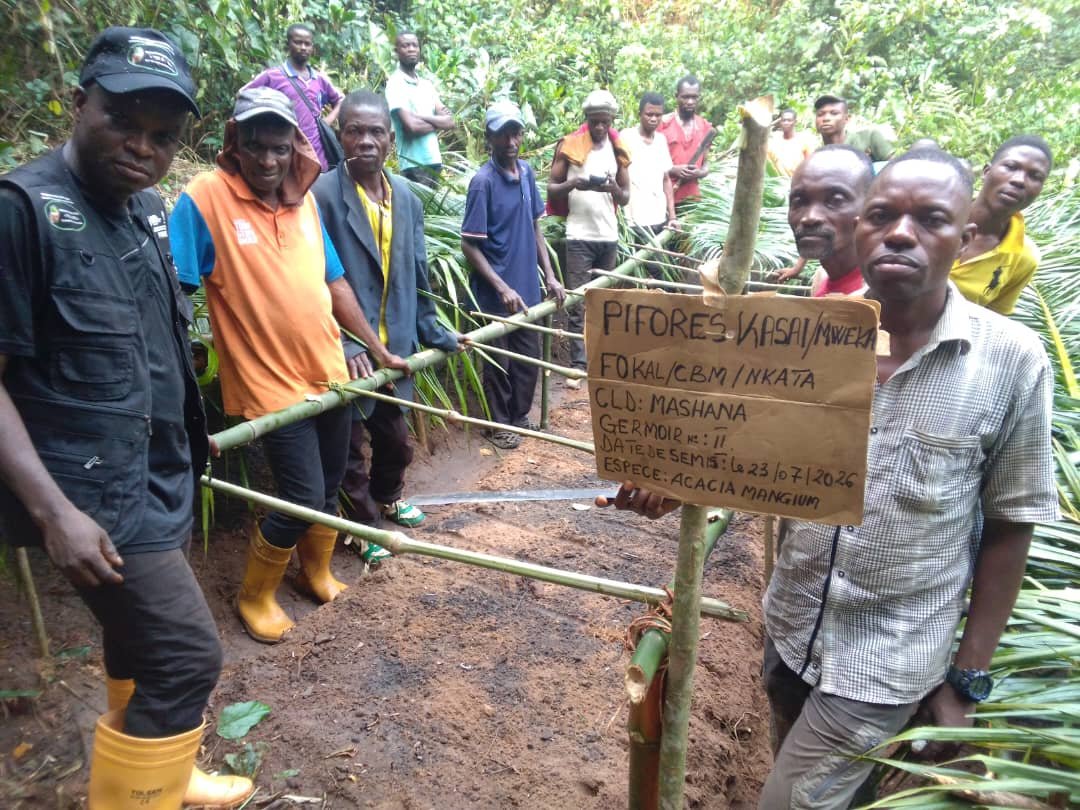 Le consortium FOKAL/CBMT/NKATA poursuit ses activités du projet PIFORES visant notamment à restaurer des savanes au village Mashana