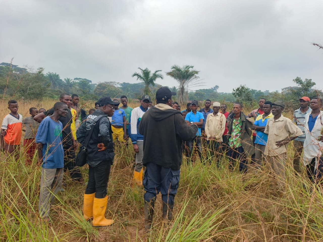 PIFORES à Mweka : Synthèse des principales activités réalisées par le consortium FOKAL/CBMT/NKATA