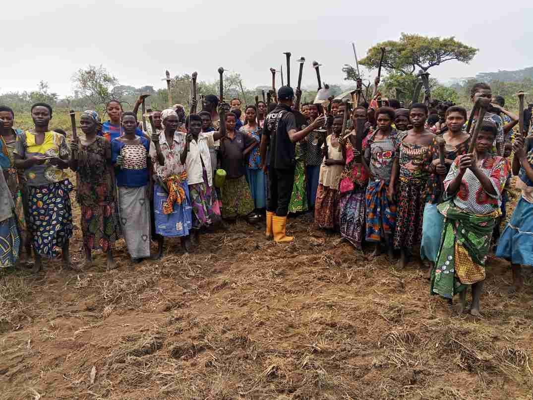 ‎PIFORES à Mweka : les communautés œuvrent déjà  leurs champs pour développer l’agroforesterie ‎