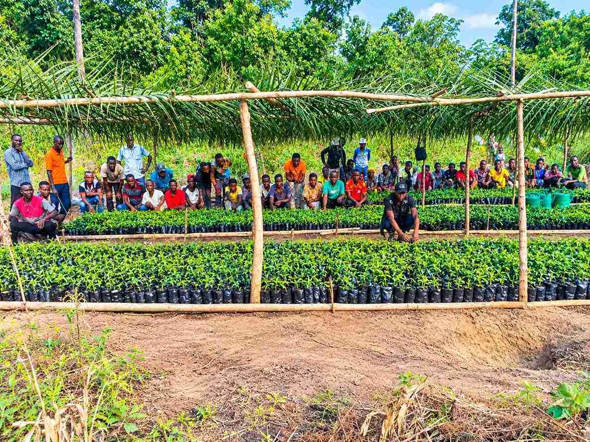 ‎Poursuite des activités du PIFORES par le Consortium FOKAL/CBMT/NKATA: plus de 10 200 plantules d’Acacia mangium mises en pépinière à Puaka