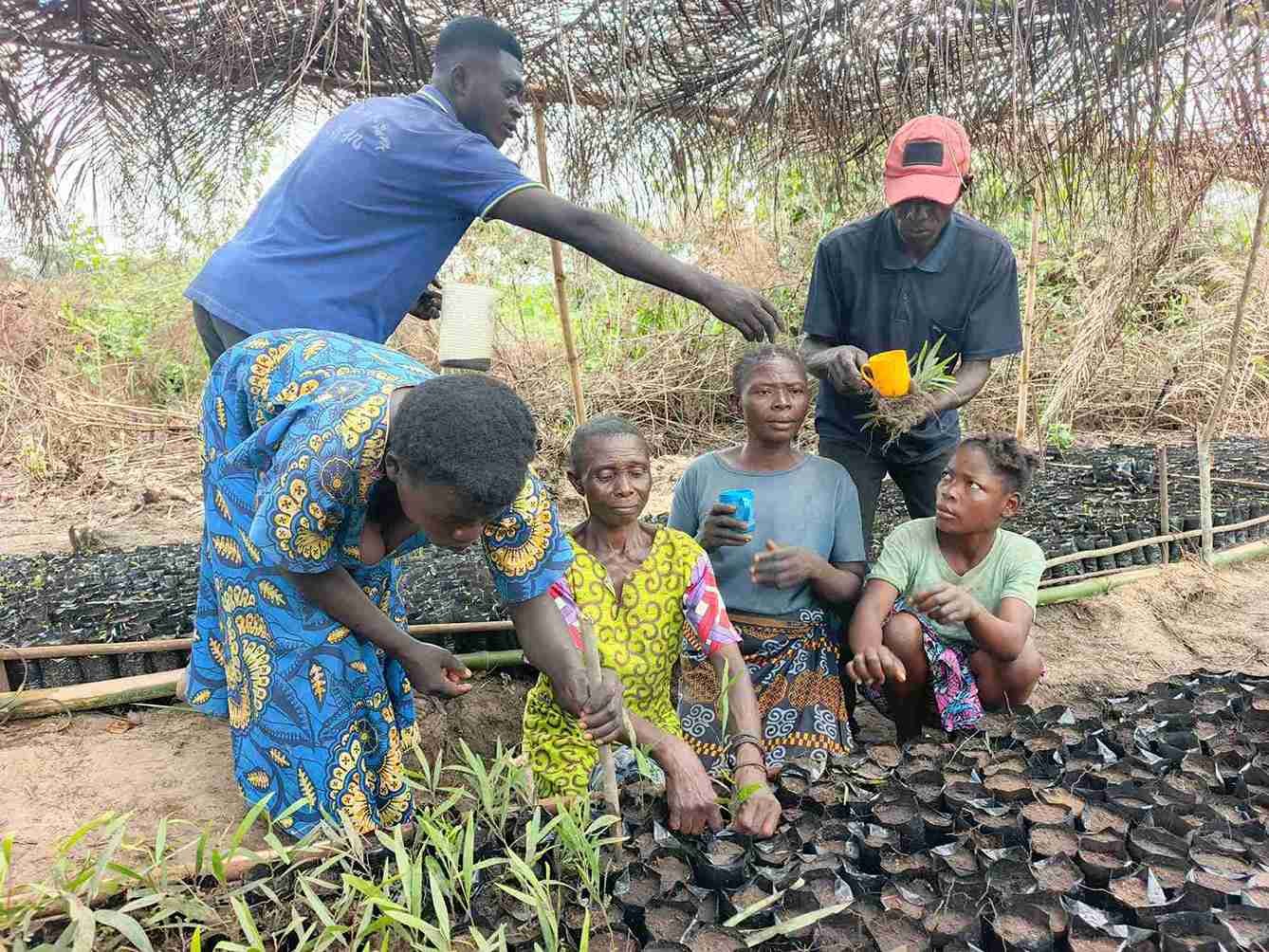 Mise en œuvre du PIFORES par le consortium FOKAL/CBMT/NKATA: quatre femmes s’engagent dans la production des plantules d’acacia