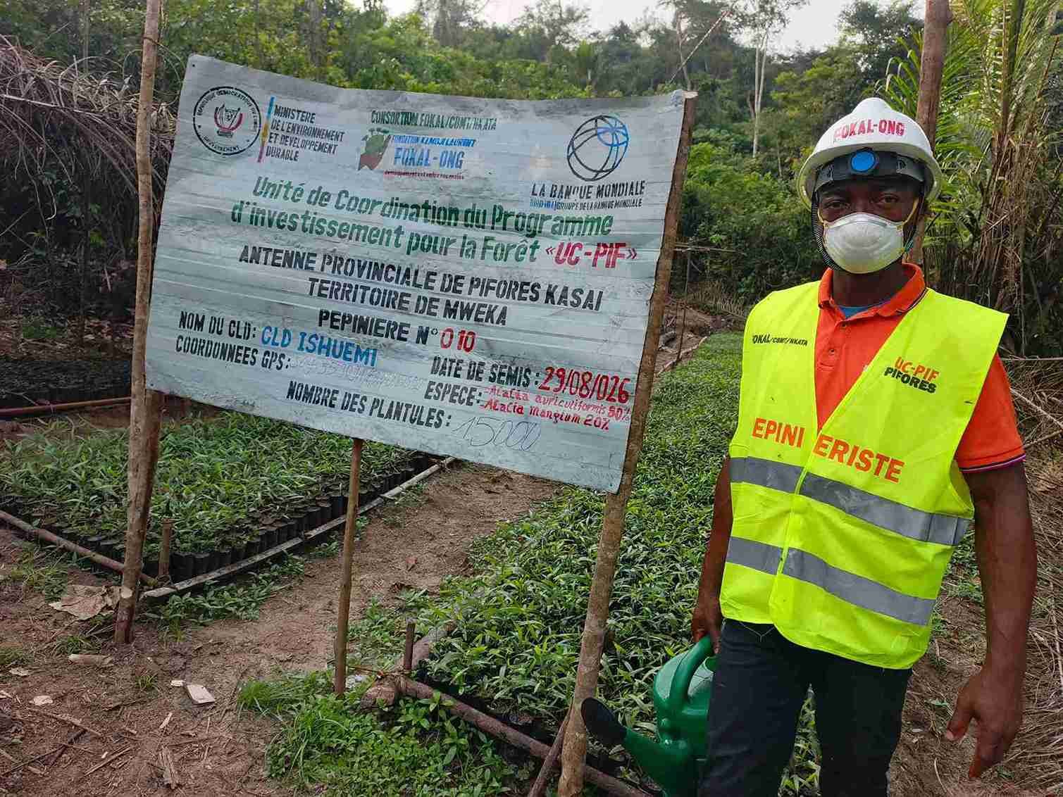 Exécution du PIFORES par le consortium FOKAL/CBMT/NKATA à Mweka :L'un des pépiniéristes d’Ishuémi entretient leur pépinière d’acacias après avoir été équipé des tenues de travail
